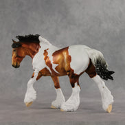 Elton OOAK FCM Irish Cob by Dawn Quick VV26
