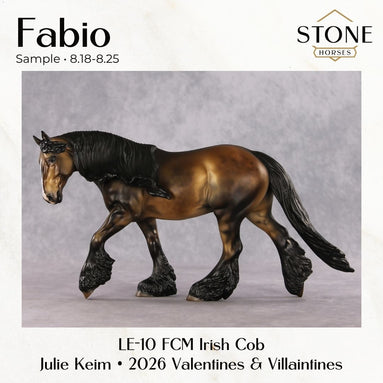 SAMPLE Fabio LE-10 FCM Irish Cob by Julie Keim SS0826