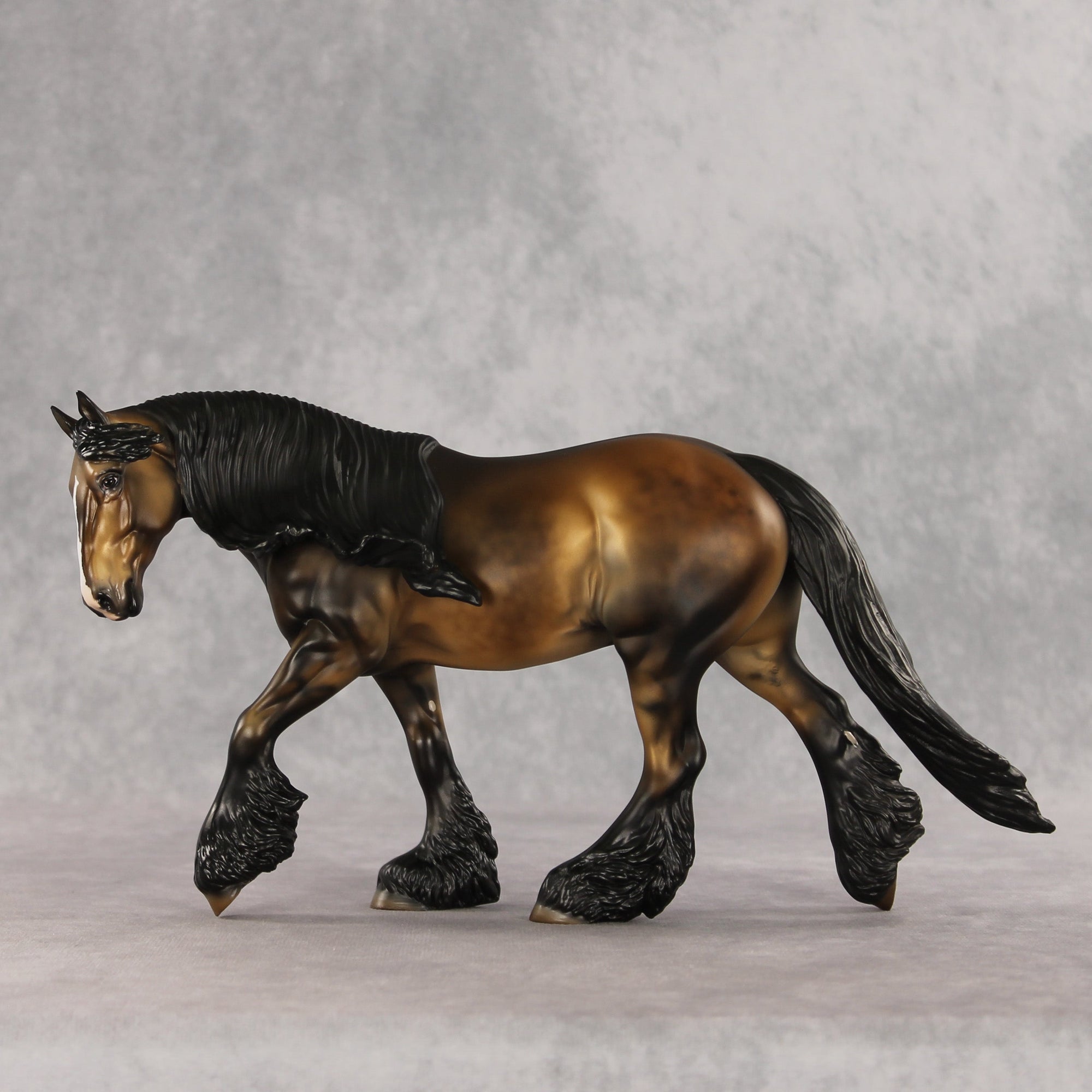 SAMPLE Fabio LE-10 FCM Irish Cob by Julie Keim SS0826