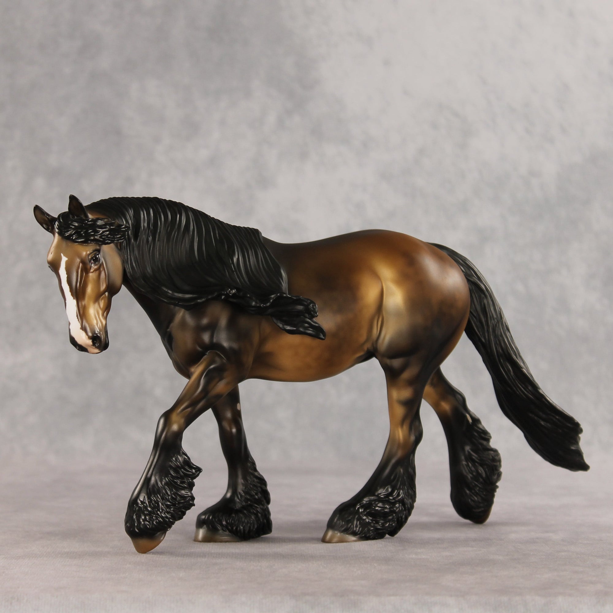 SAMPLE Fabio LE-10 FCM Irish Cob by Julie Keim SS0826