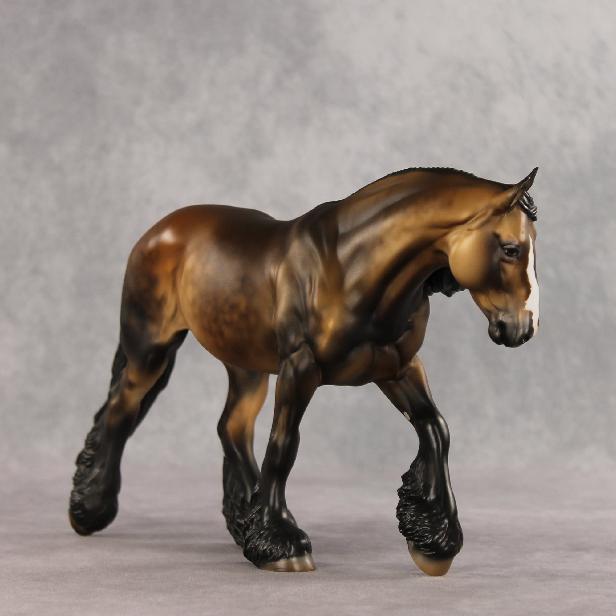 SAMPLE Fabio LE-10 FCM Irish Cob by Julie Keim SS0826
