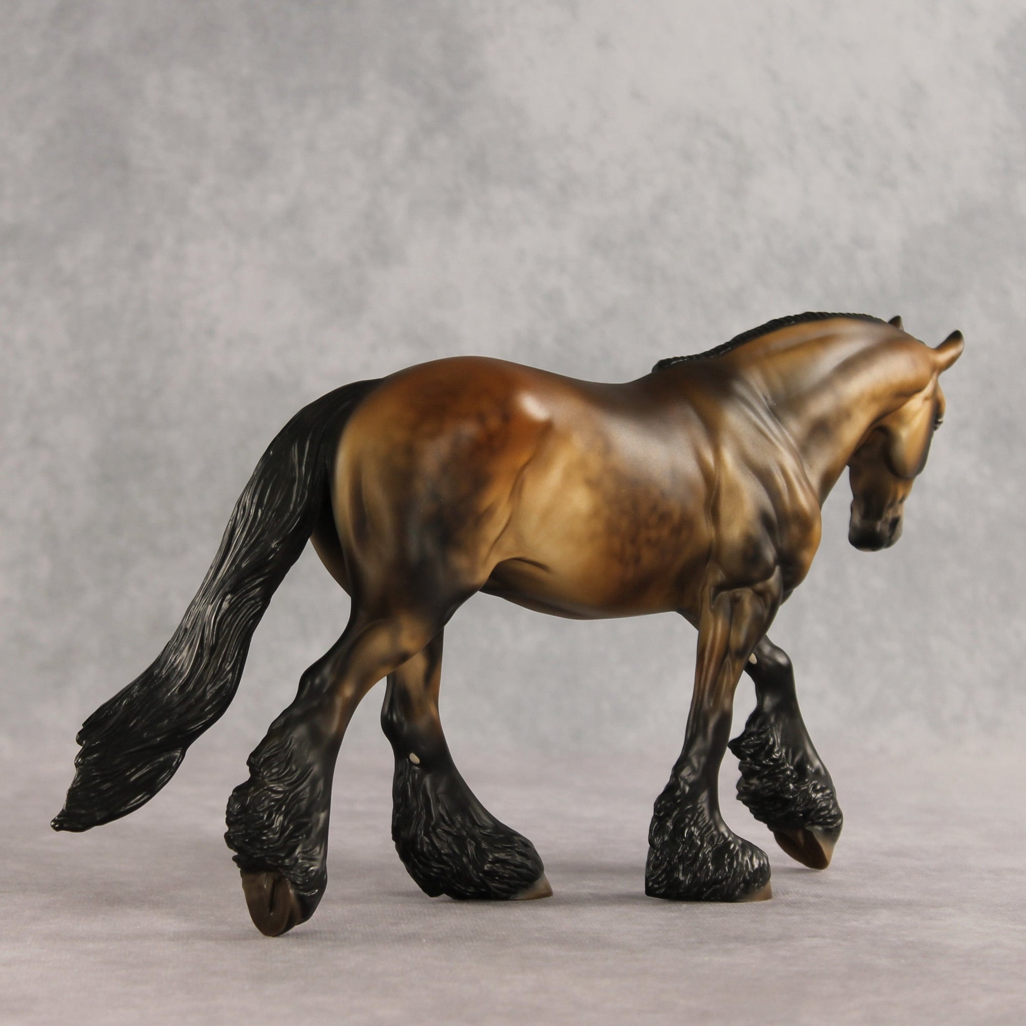 SAMPLE Fabio LE-10 FCM Irish Cob by Julie Keim SS0826