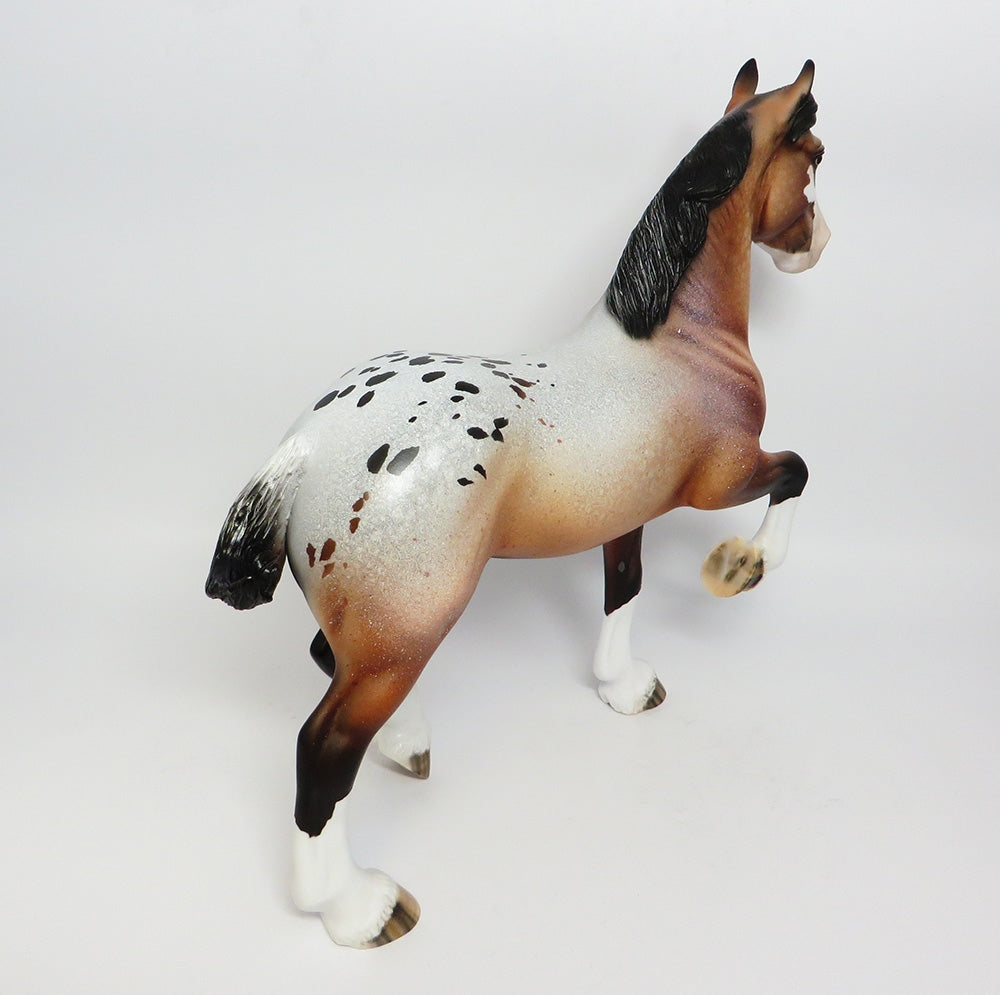 FESTIVE-LE-5 BAY APPALOOSA TROTTING DRAFTER WITH CM TAIL AND CM FEATHERS WHS 17