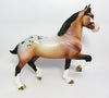FESTIVE-LE-5 BAY APPALOOSA TROTTING DRAFTER WITH CM TAIL AND CM FEATHERS WHS 17