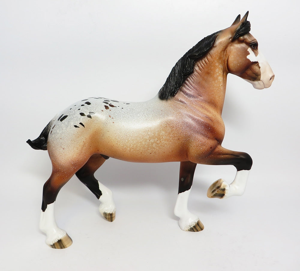 FESTIVE-LE-5 BAY APPALOOSA TROTTING DRAFTER WITH CM TAIL AND CM FEATHERS WHS 17