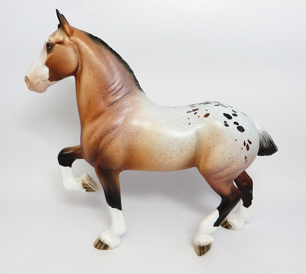 FESTIVE-LE-5 BAY APPALOOSA TROTTING DRAFTER WITH CM TAIL AND CM FEATHERS WHS 17
