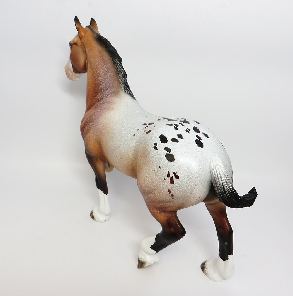 FESTIVE-LE-5 BAY APPALOOSA TROTTING DRAFTER WITH CM TAIL AND CM FEATHERS WHS 17