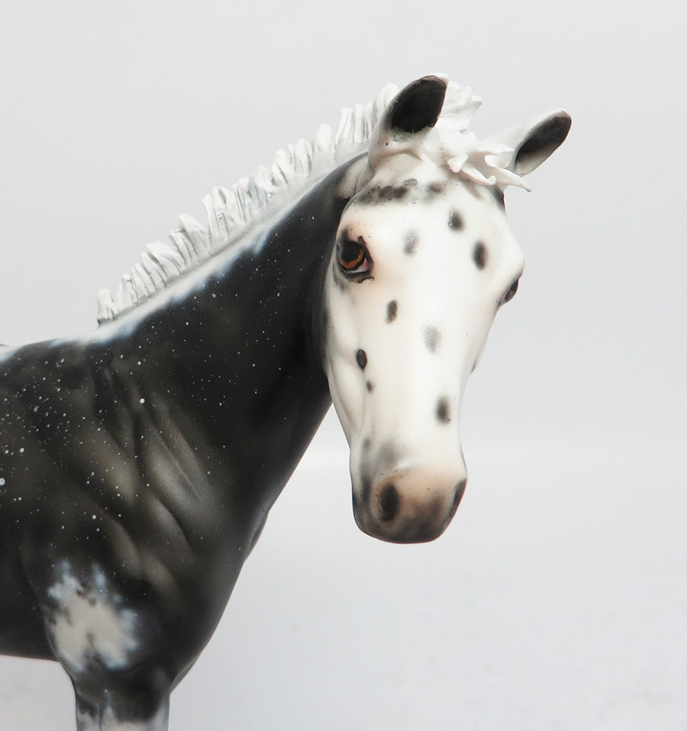 APPALOOSA