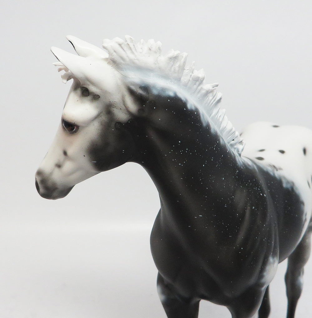 FIRE STONE-OOAK CUSTOM BLACK APPALOOSA WEANLING MODEL HORSE BY DAWN QUICK WHS 2017