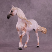 First Snow OOAK FCM Arabian Mare by Ellen Robbins HS25