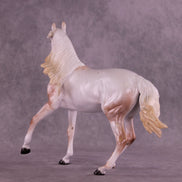 First Snow OOAK FCM Arabian Mare by Ellen Robbins HS25