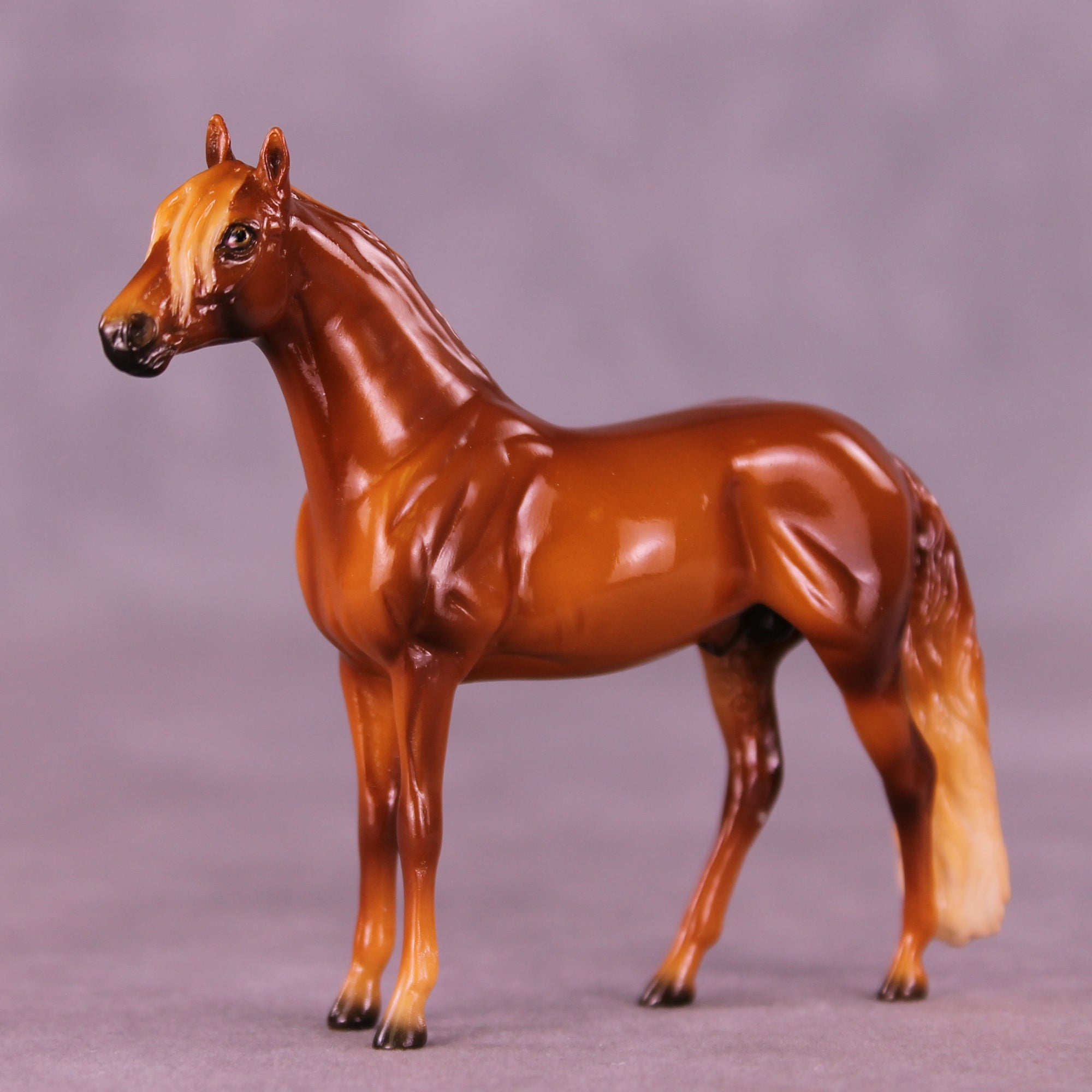 Glossy Florizel LE-5 Chip Andalusian by Ellen Robbins CL25
