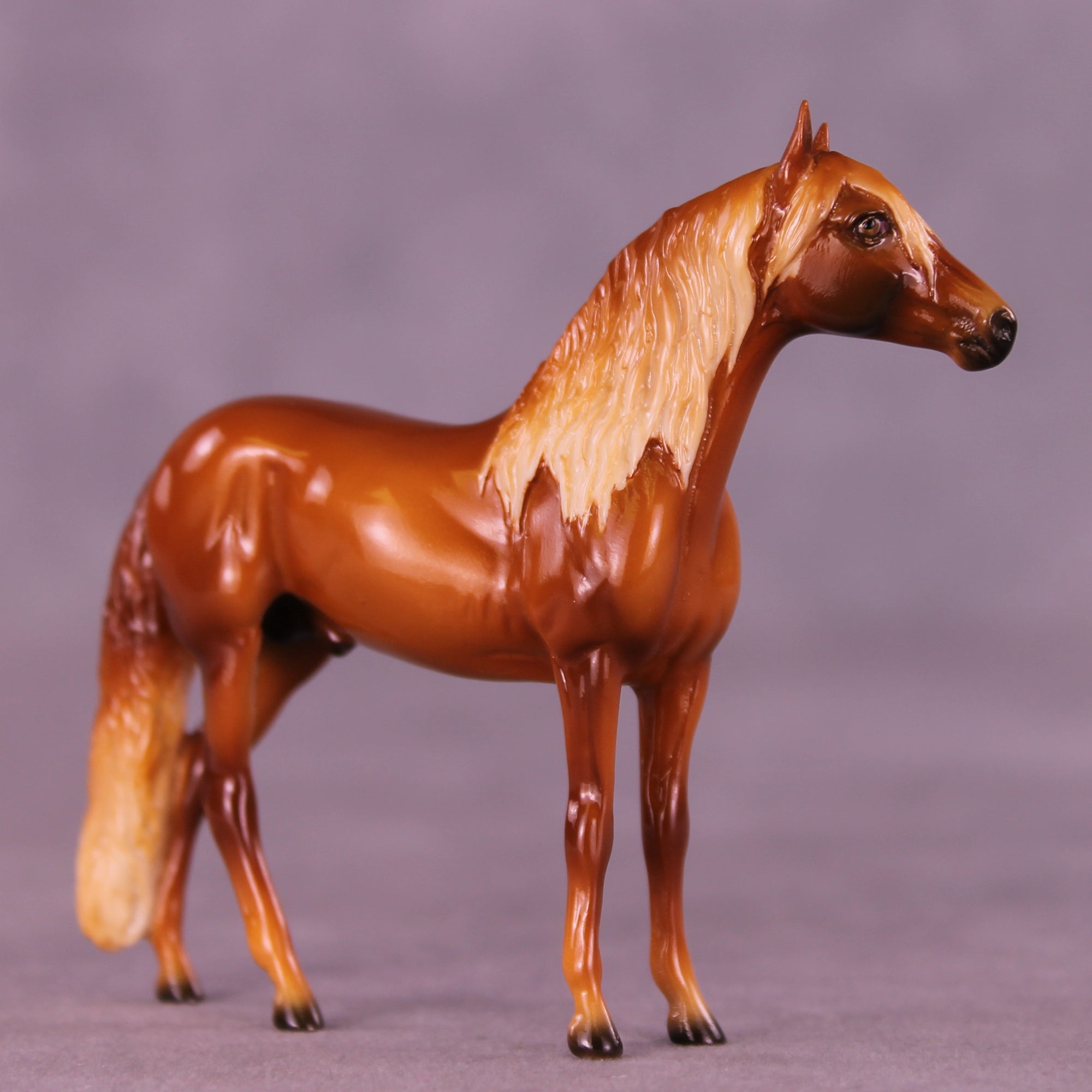 Glossy Florizel LE-5 Chip Andalusian by Ellen Robbins CL25