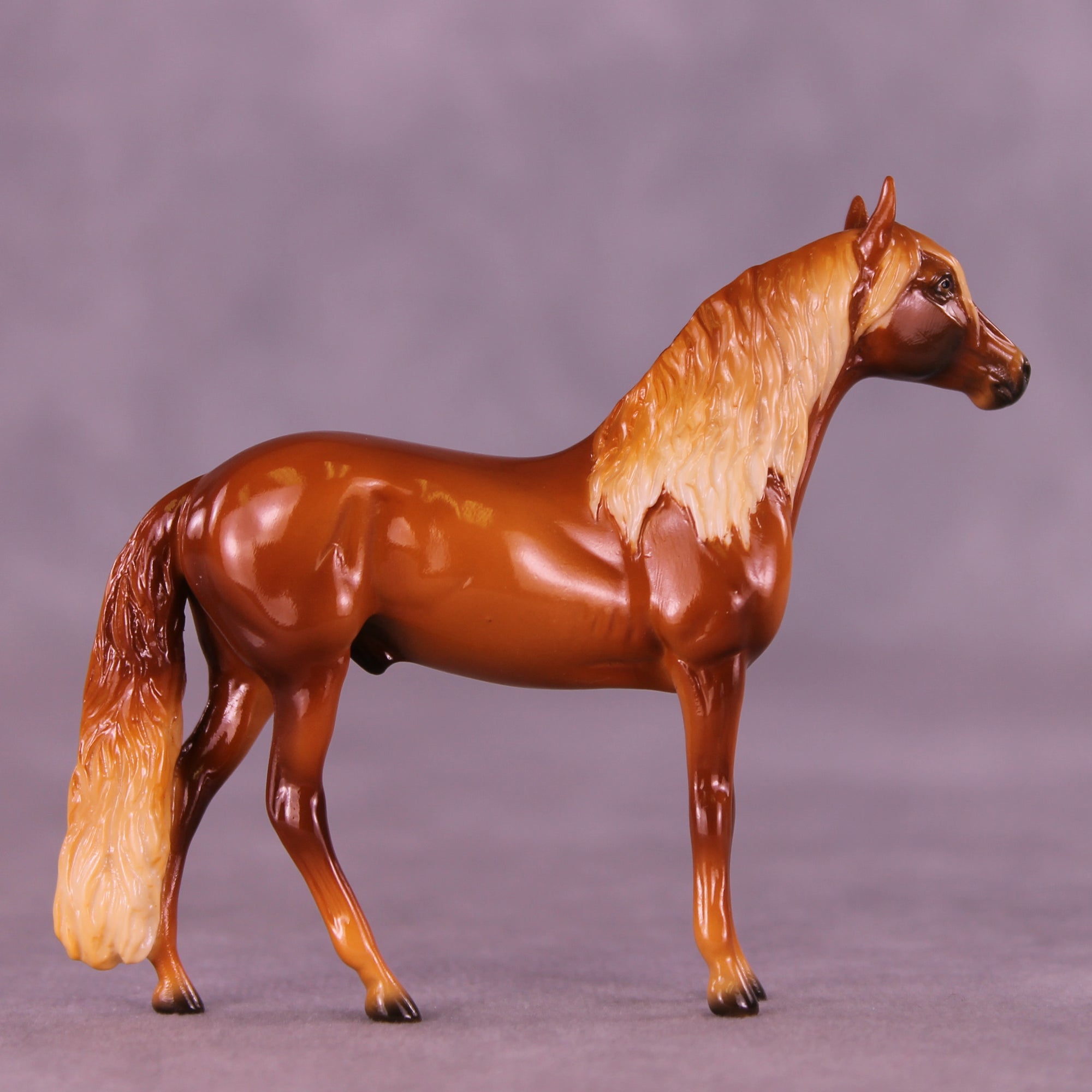 Glossy Florizel LE-5 Chip Andalusian by Ellen Robbins CL25