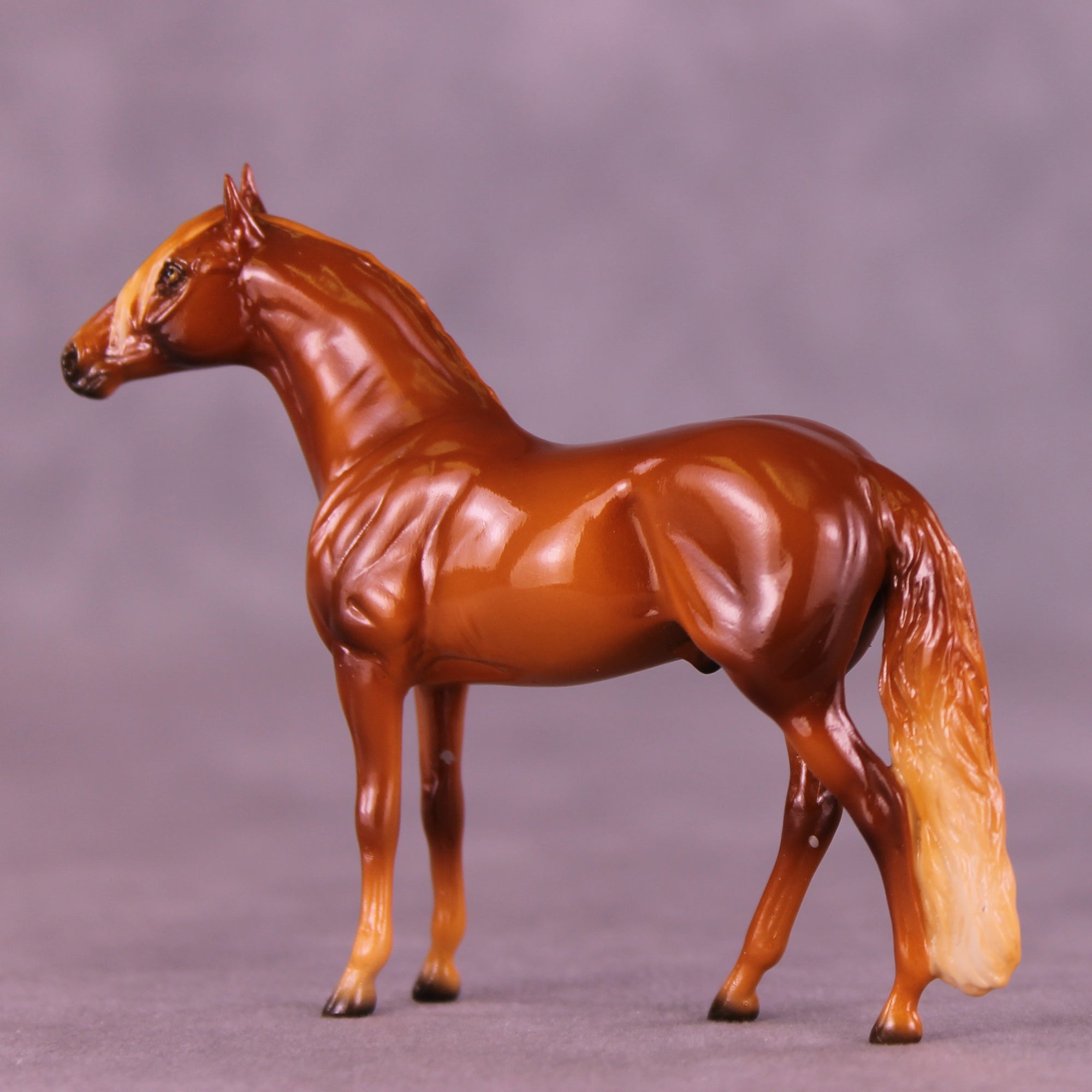 Glossy Florizel LE-5 Chip Andalusian by Ellen Robbins CL25