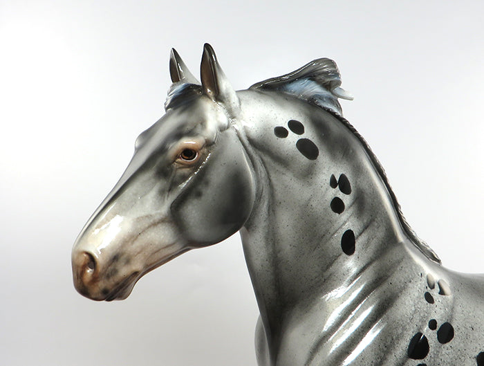 FLYNN RIDER-LE-10 LOUD APPALOOSA STANDING DRAFTER MODEL HORSE EQ 2016 7/28