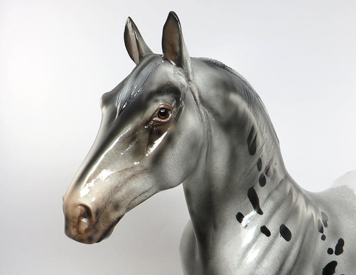 FLYNN RIDER-LE-5 APPALOOSA STANDNG DRAFTER BY JULIE KIEM EQ 2016