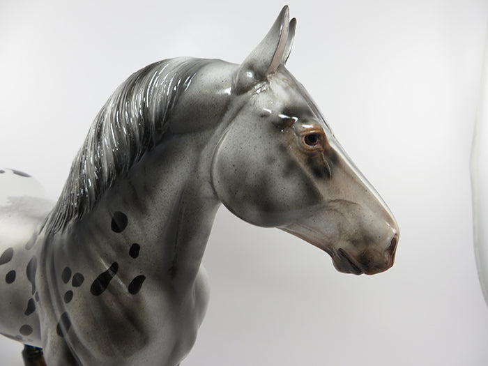 FLYNN RIDER-LE-5 APPALOOSA STANDNG DRAFTER BY JULIE KIEM EQ 2016