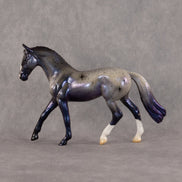 Fomalhaut OOAK Chip Warmblood by Jess Hamill SCD26
