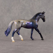 Fomalhaut OOAK Chip Warmblood by Jess Hamill SCD26