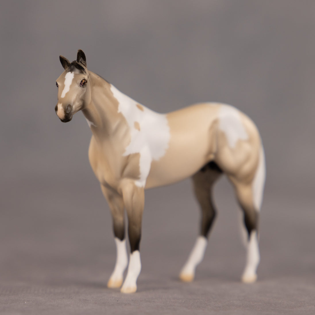 Fortitude OOAK Chip Stock Horse by Dawn Quick EQ26