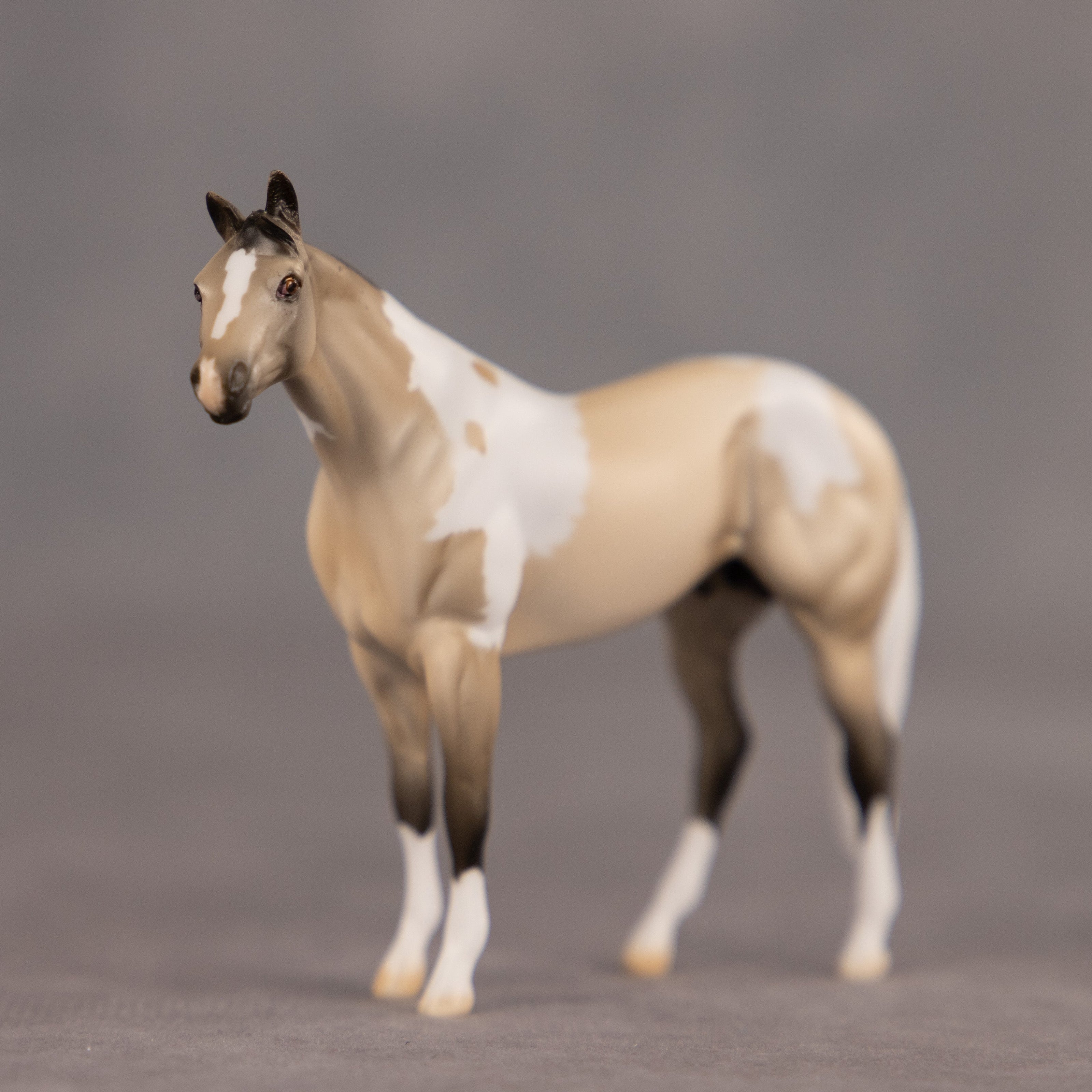 Fortitude OOAK Chip Stock Horse by Dawn Quick EQ26