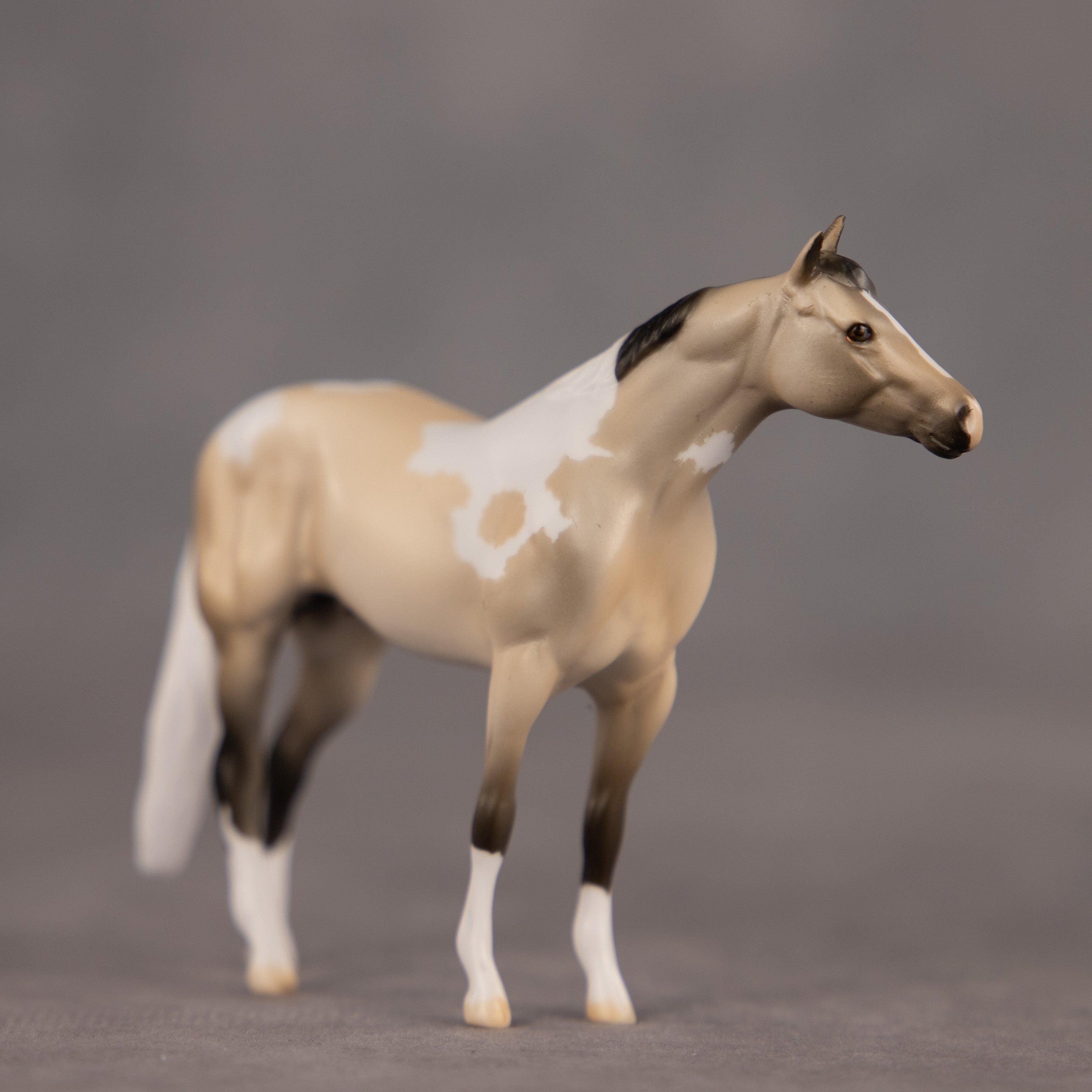 Fortitude OOAK Chip Stock Horse by Dawn Quick EQ26