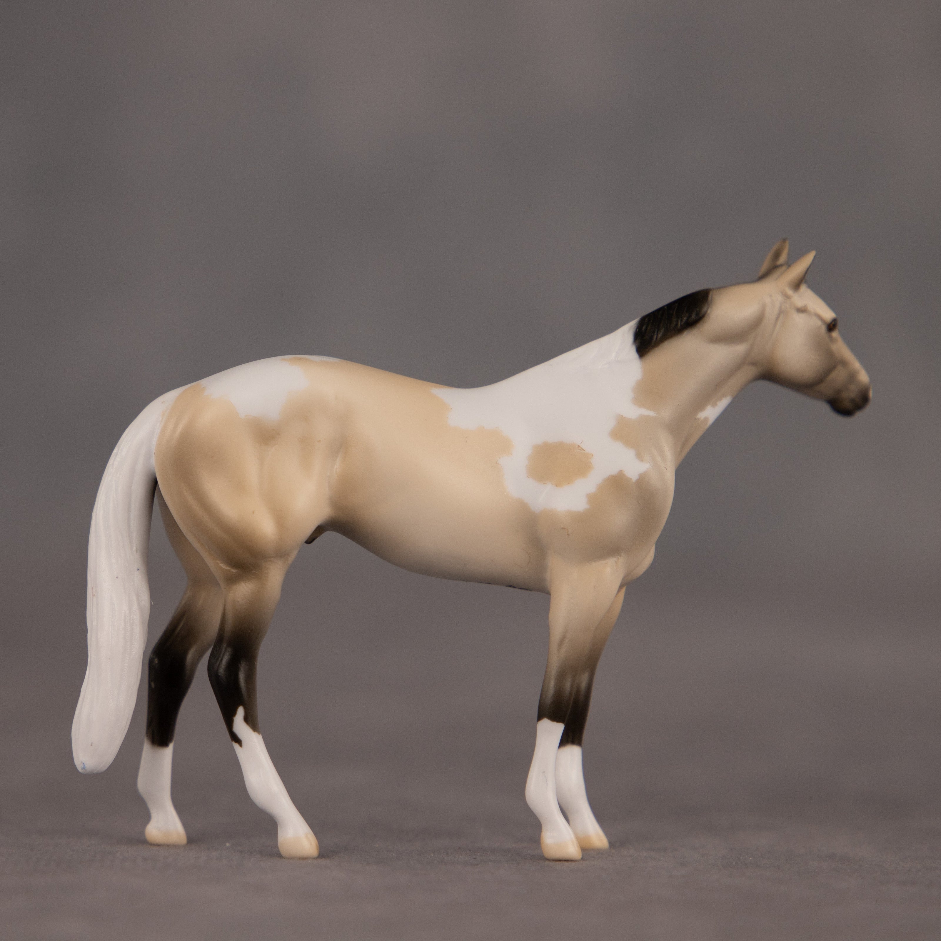 Fortitude OOAK Chip Stock Horse by Dawn Quick EQ26