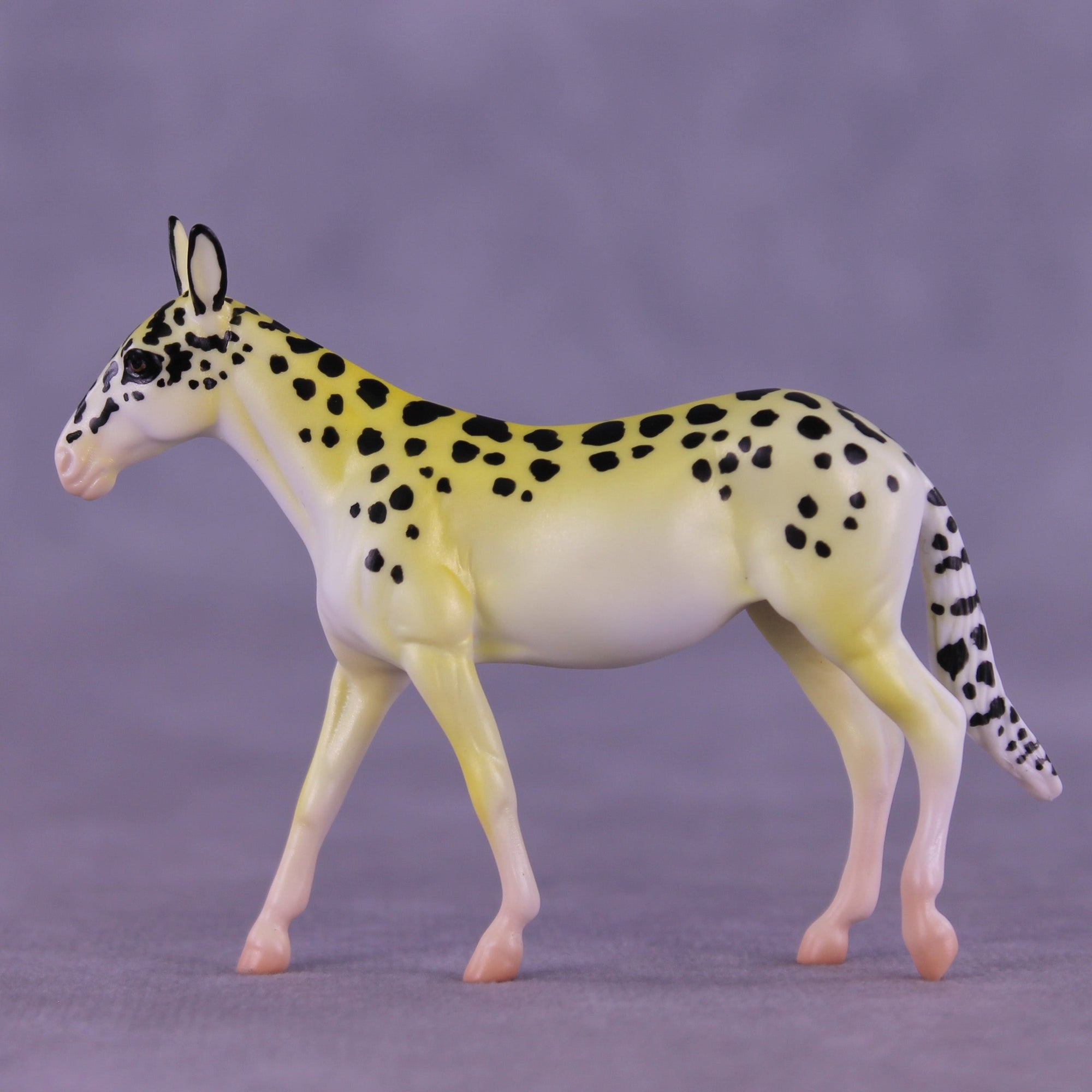 Freckles OOAK Chip Mule by Jess Hamill MS25