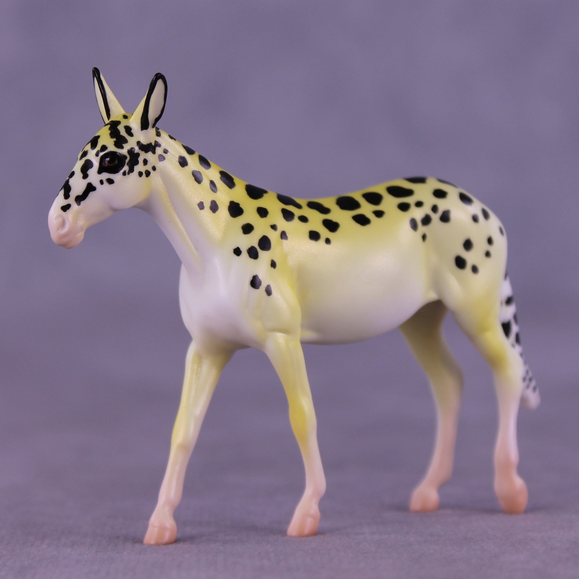 Freckles OOAK Chip Mule by Jess Hamill MS25
