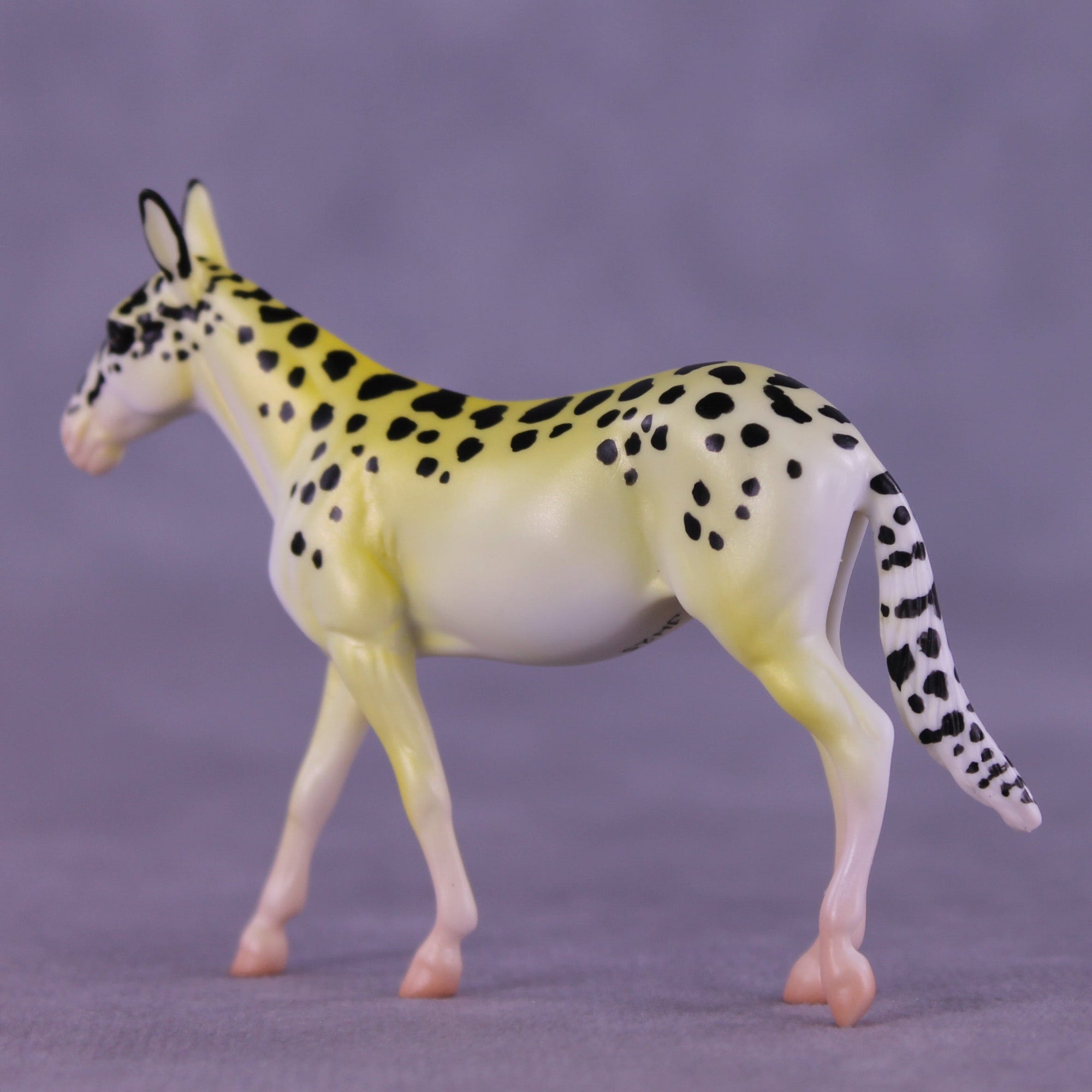 Freckles OOAK Chip Mule by Jess Hamill MS25