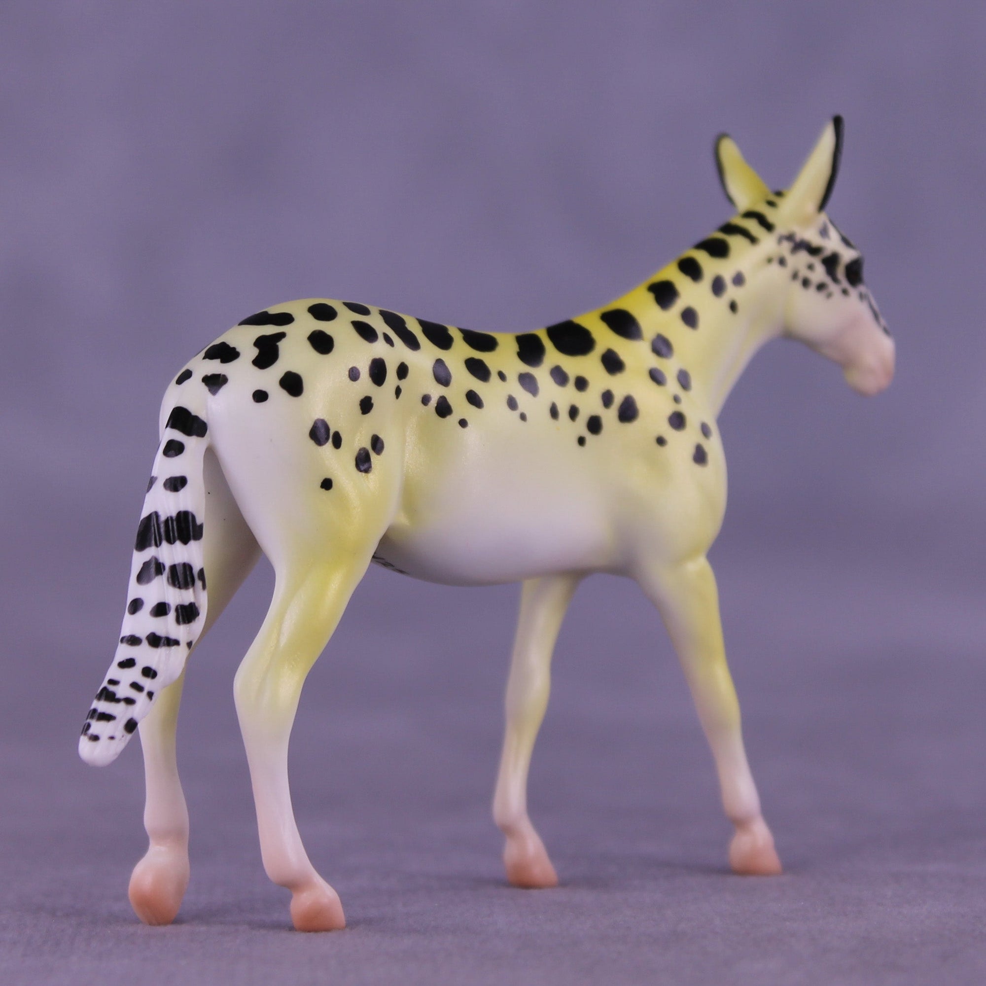 Freckles OOAK Chip Mule by Jess Hamill MS25