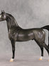 Friendship's Funeral OOAK Arabian Stallion by Ashley Palmer VV26