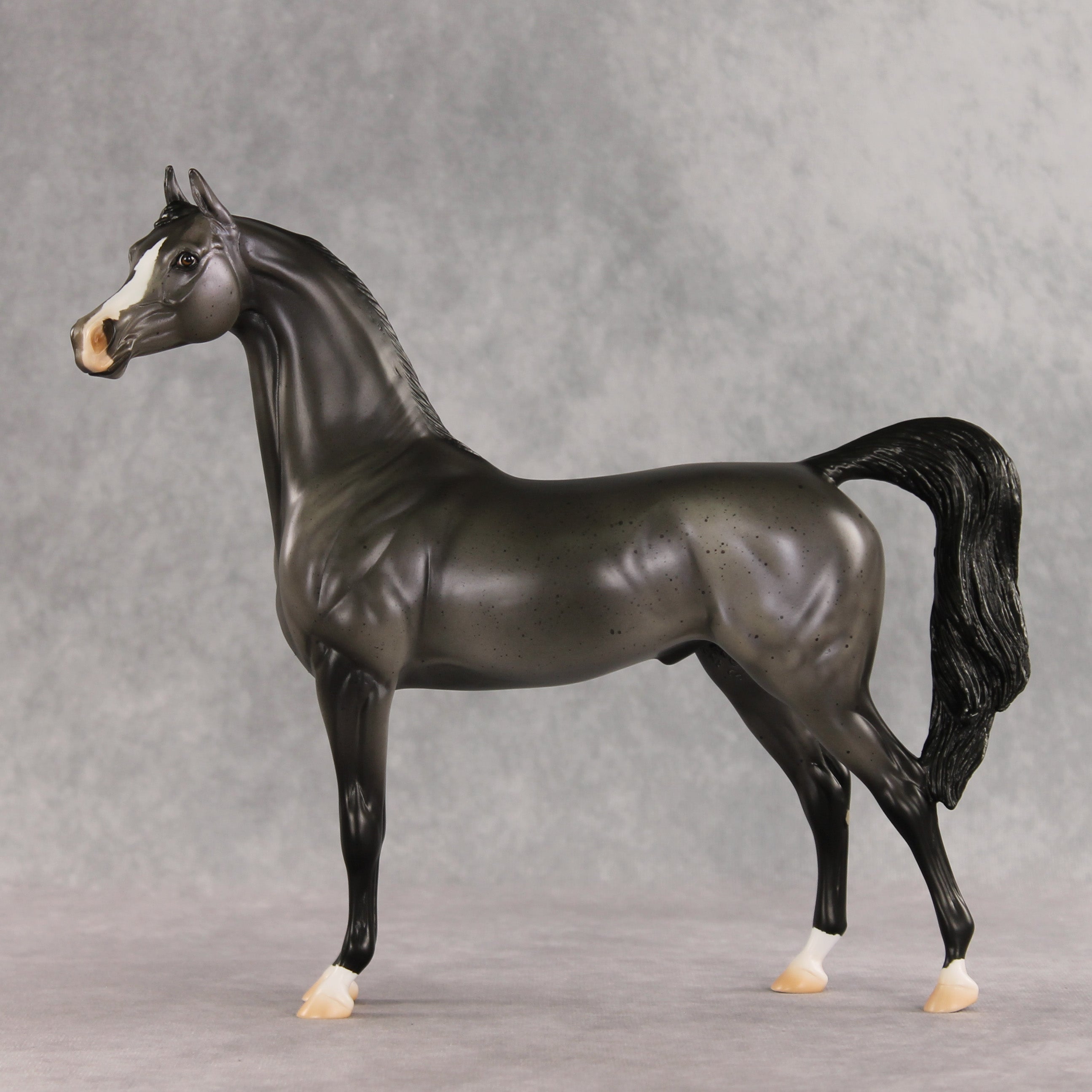 Friendship's Funeral OOAK Arabian Stallion by Ashley Palmer VV26