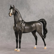 Friendship's Funeral OOAK Arabian Stallion by Ashley Palmer VV26