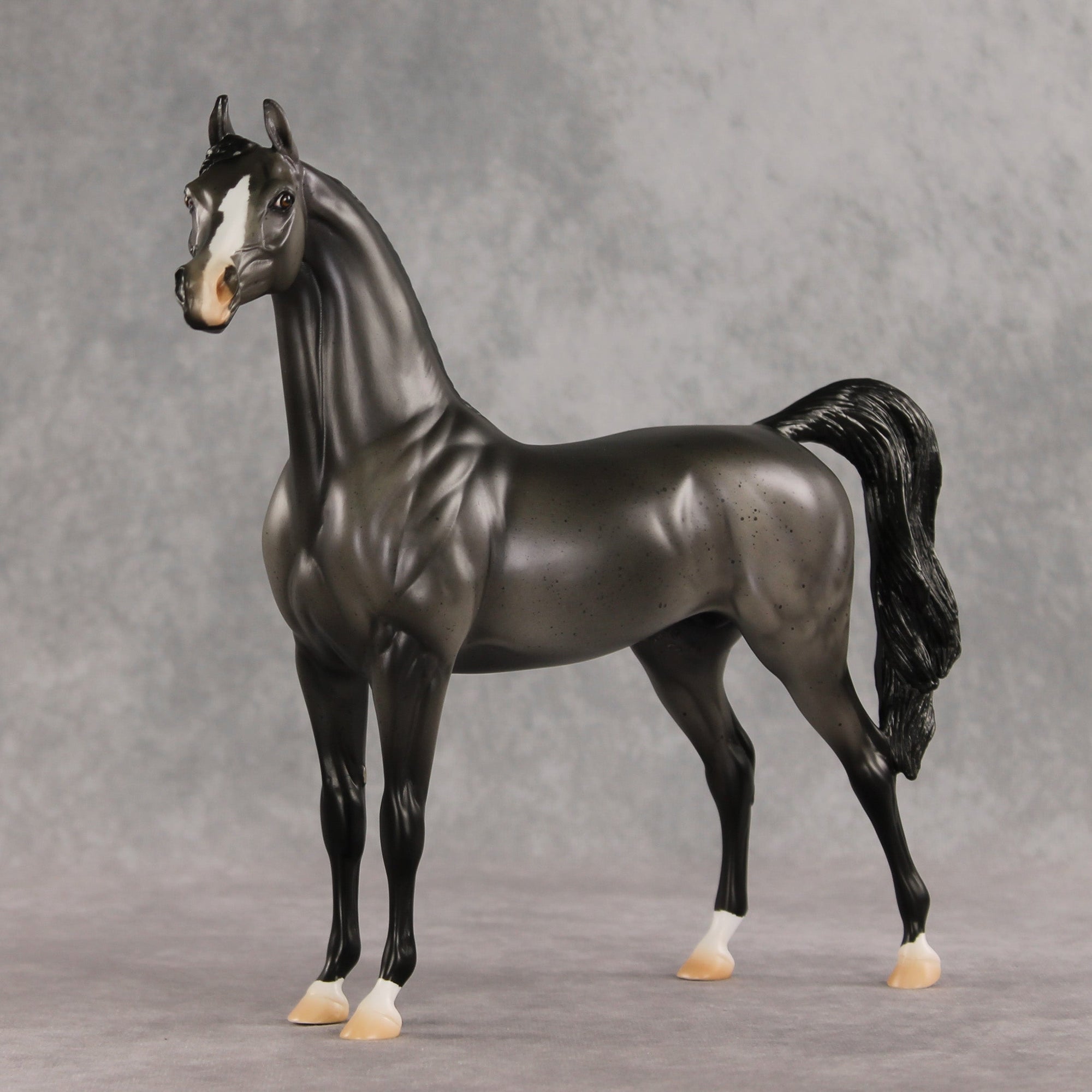 Friendship's Funeral OOAK Arabian Stallion by Ashley Palmer VV26