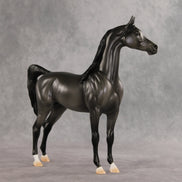 Friendship's Funeral OOAK Arabian Stallion by Ashley Palmer VV26
