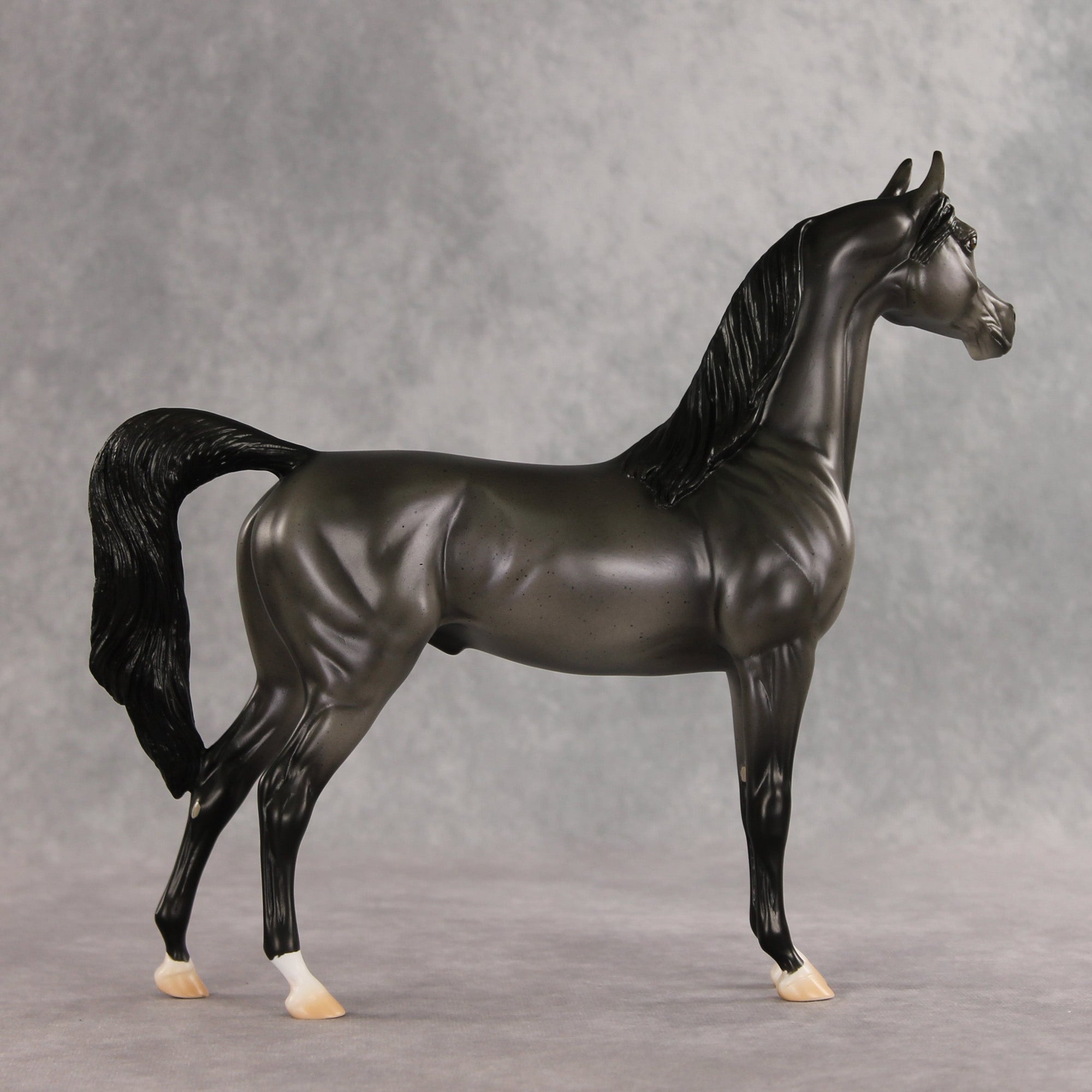 Friendship's Funeral OOAK Arabian Stallion by Ashley Palmer VV26