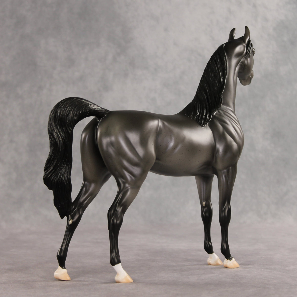 Friendship's Funeral OOAK Arabian Stallion by Ashley Palmer VV26