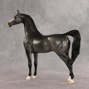 Friendship's Funeral OOAK Arabian Stallion by Ashley Palmer VV26