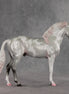 Frosted Blush OOAK FCM Andalusian by Jess Hamill VV26