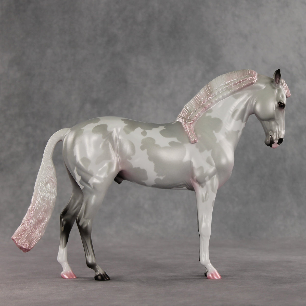 Frosted Blush OOAK FCM Andalusian by Jess Hamill VV26