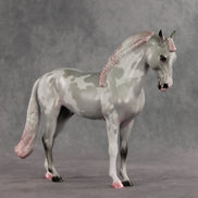 Frosted Blush OOAK FCM Andalusian by Jess Hamill VV26