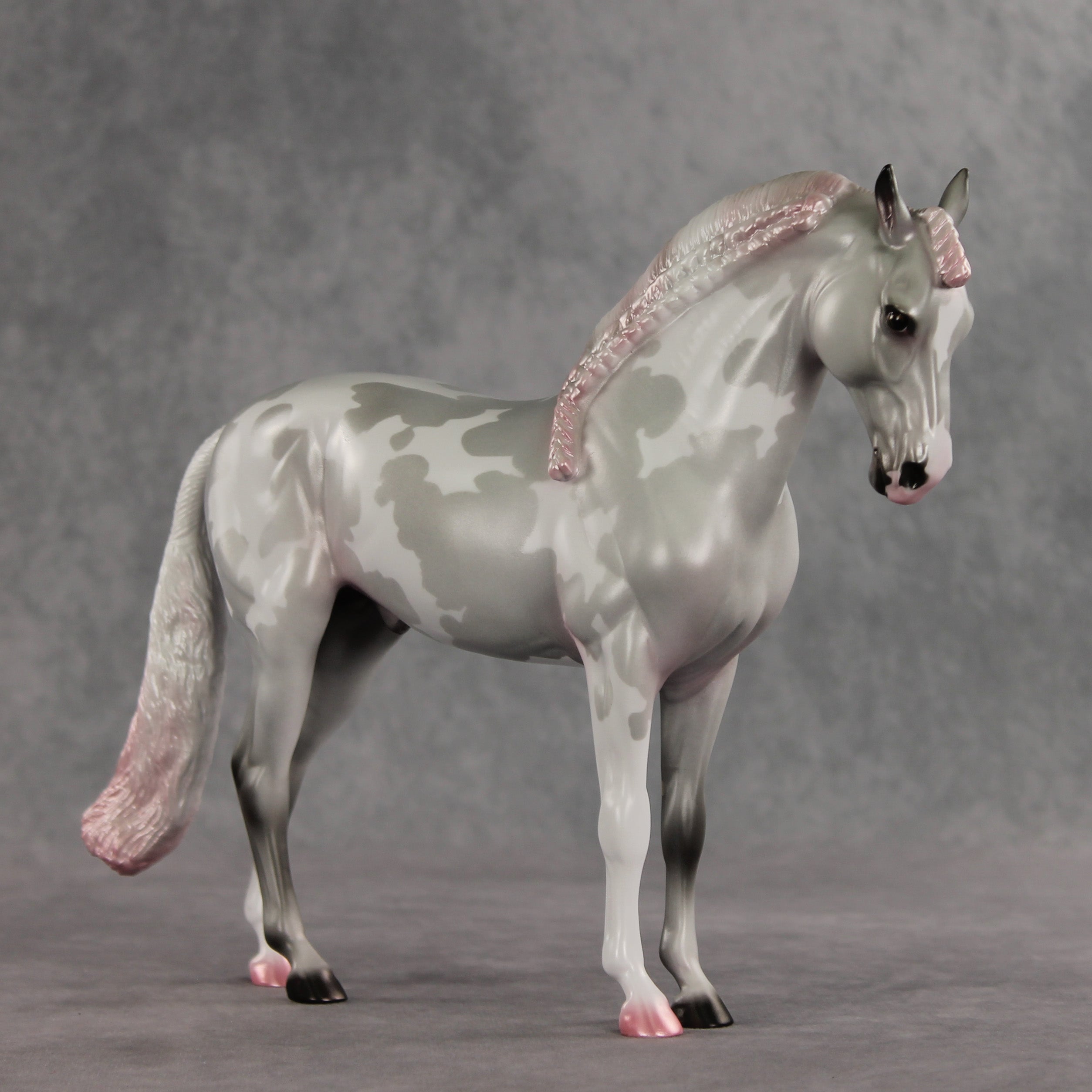 Frosted Blush OOAK FCM Andalusian by Jess Hamill VV26