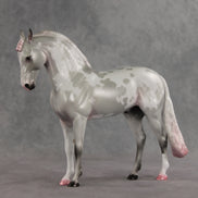 Frosted Blush OOAK FCM Andalusian by Jess Hamill VV26