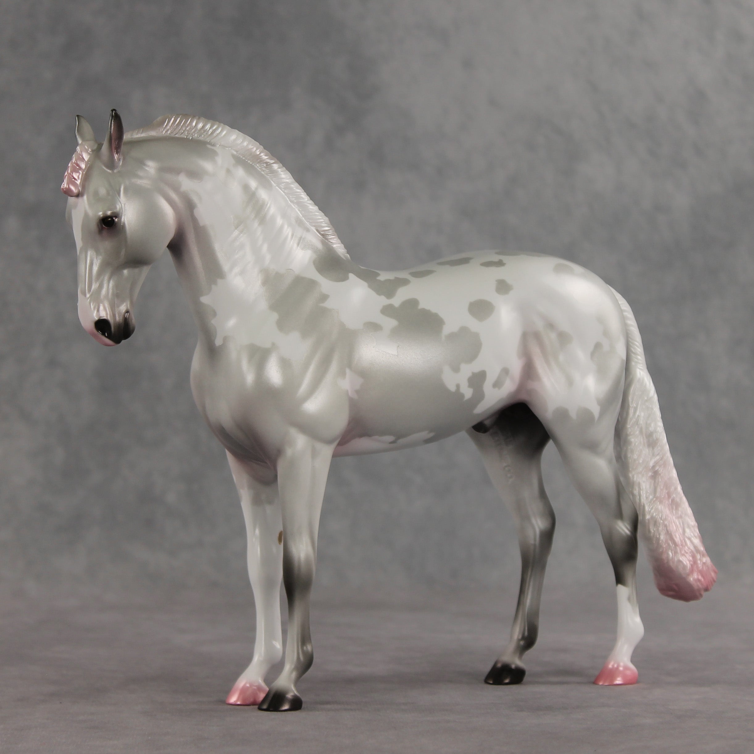 Frosted Blush OOAK FCM Andalusian by Jess Hamill VV26