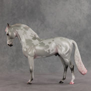 Frosted Blush OOAK FCM Andalusian by Jess Hamill VV26