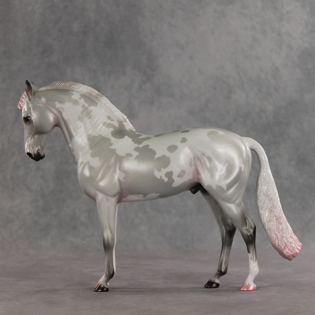 Frosted Blush OOAK FCM Andalusian by Jess Hamill VV26