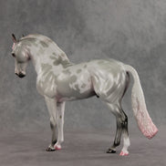 Frosted Blush OOAK FCM Andalusian by Jess Hamill VV26