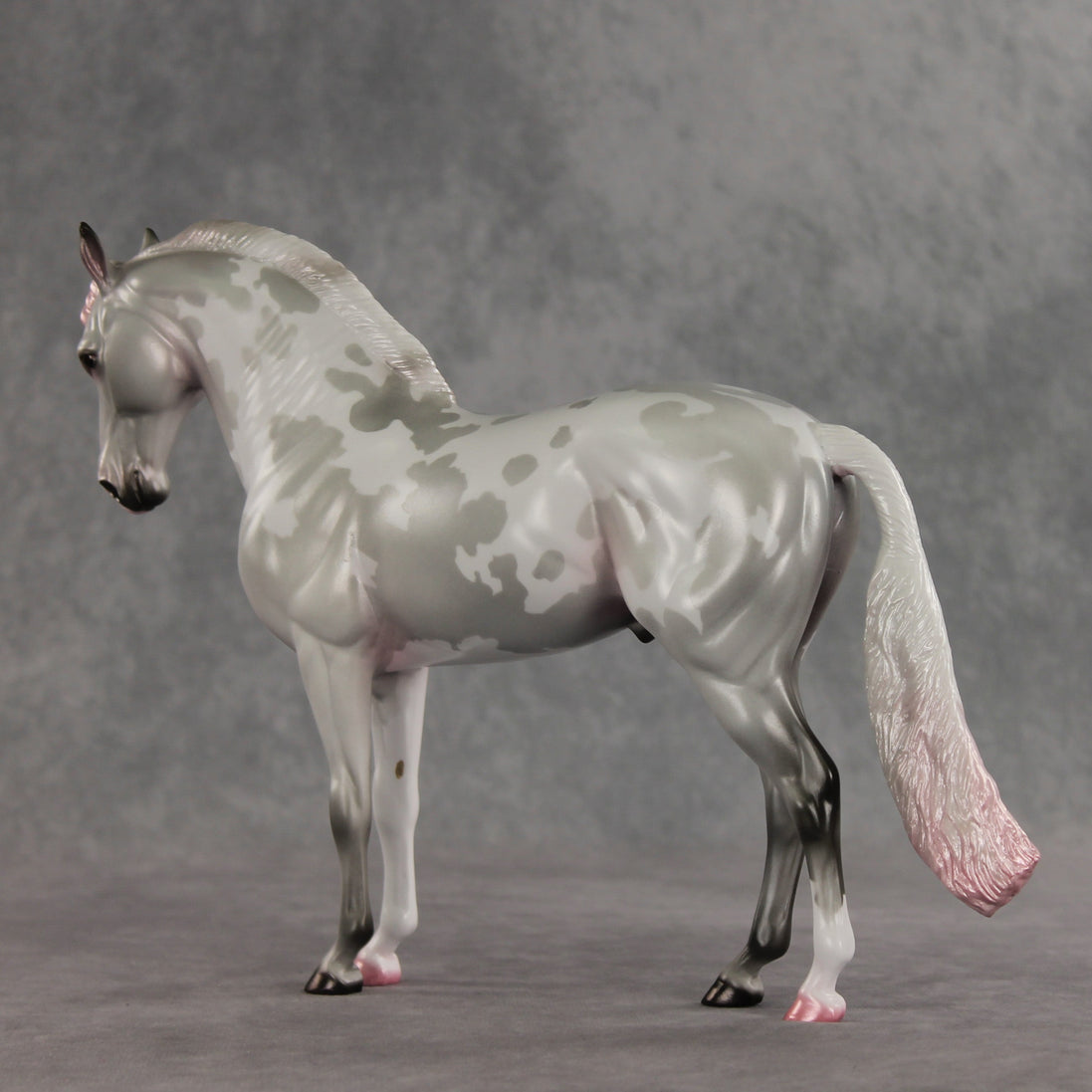 Frosted Blush OOAK FCM Andalusian by Jess Hamill VV26